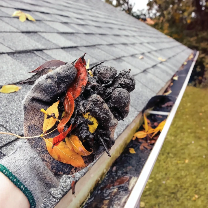 Residential gutter cleaning Services