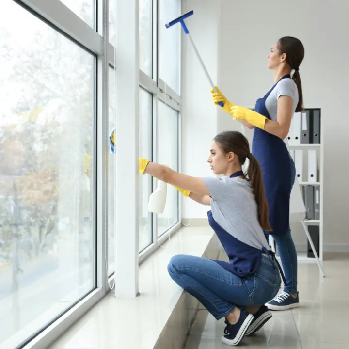 Commercial Window Washing Services