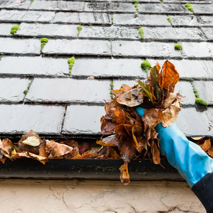 Commercial gutter cleaning Services