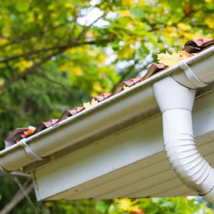 Residential affordable gutter cleaning Services